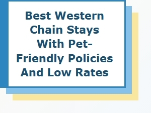 Best Western Offers Pet-Friendly Stays at Low Rates