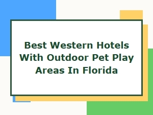 Best Western Pet-Friendly Hotels in Florida with Outdoor Play Areas
