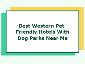 Best Western Pet-Friendly Hotels with Dog Parks Nearby