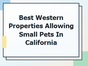 Best Western Pet-Friendly Stays in California for Small Pets